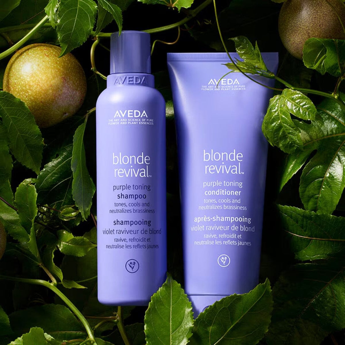 AVEDA Blonde Revival Purple Toning Range - HairMNL