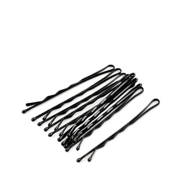 HairMNL Le Couleur Le Couleur Professionnel Hairpins 